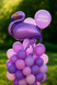 Foil ball Flamingo purple (51*105) (China), 1 шт., Helium or air, Дикі тварини