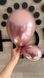 Повітряна кулька 12" Pink Brilliance 212 (30 см) 25 шт. RB1221225 фото 3